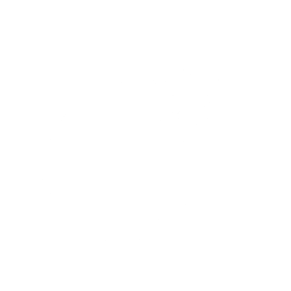 Ecom Ace Store